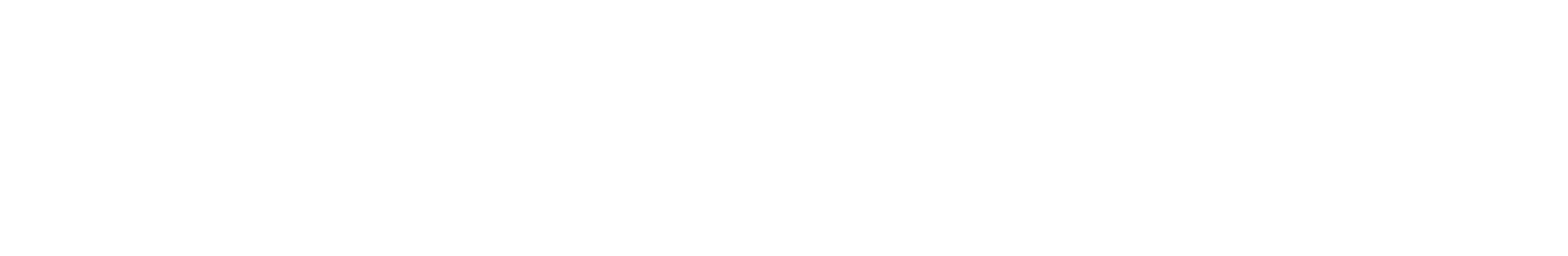 PixelHosting White Logo